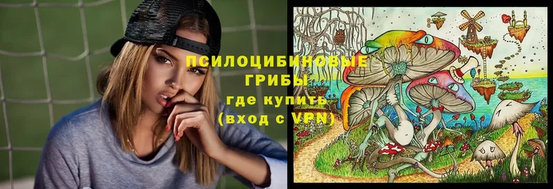 omg tor  Лукоянов  Галлюциногенные грибы Psilocybine cubensis 